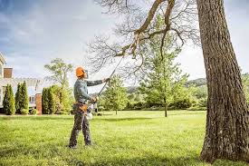 How Our Tree Care Process Works  in  Meadowlakes, TX